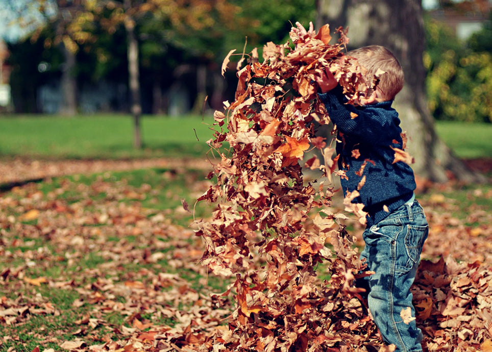 Herbst mit kleinen Kindern